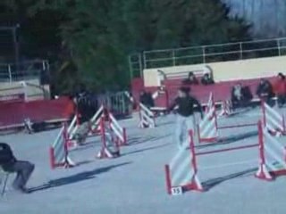 Tailee jumping  arles