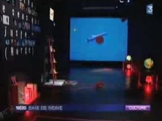 "Le champ des possibles" reportage du 19:20 de France 3 sur l'exposition de Laurent Mathieu (Satellite Brindeau 2009)