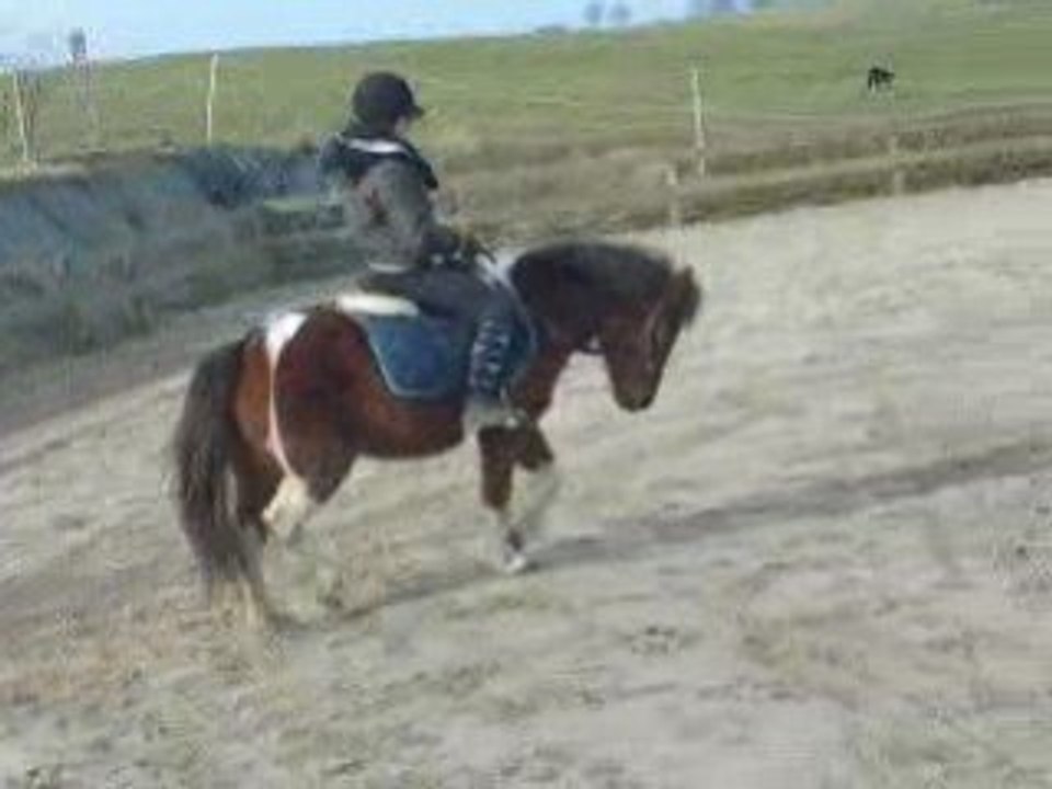 Rii - Monté en licol d'étho