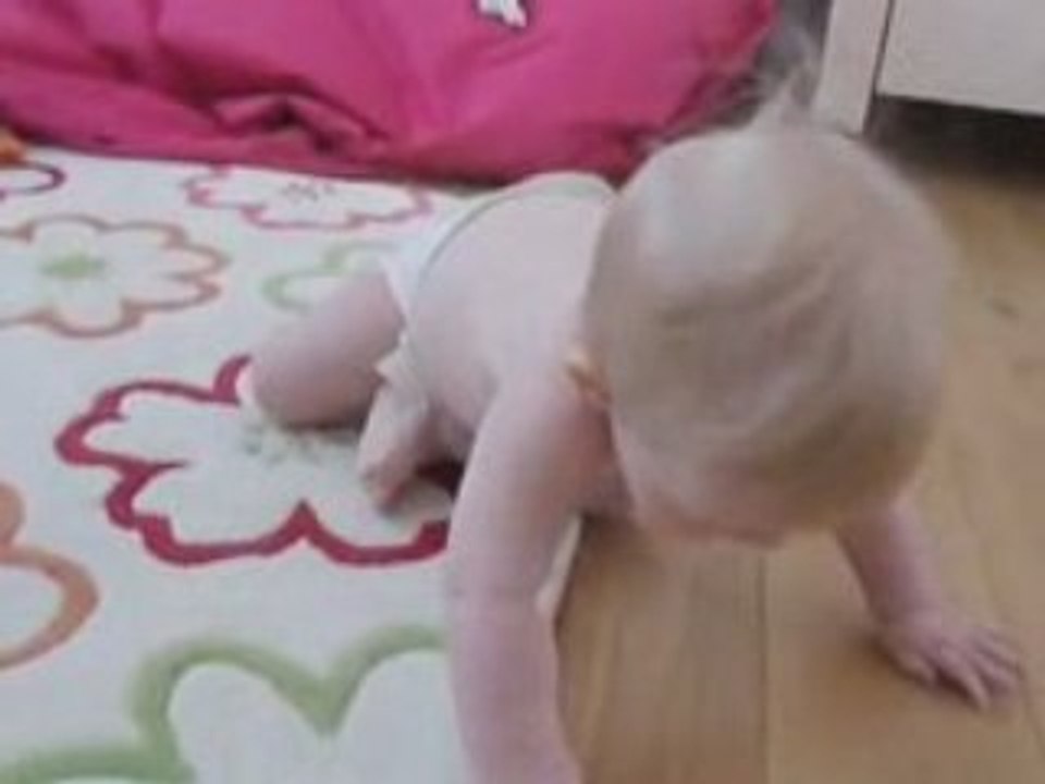 Mes débuts à 4 pattes