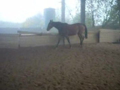 OR 2008 10 28 Liberte