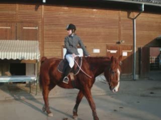 Concours 15 février Classe 4