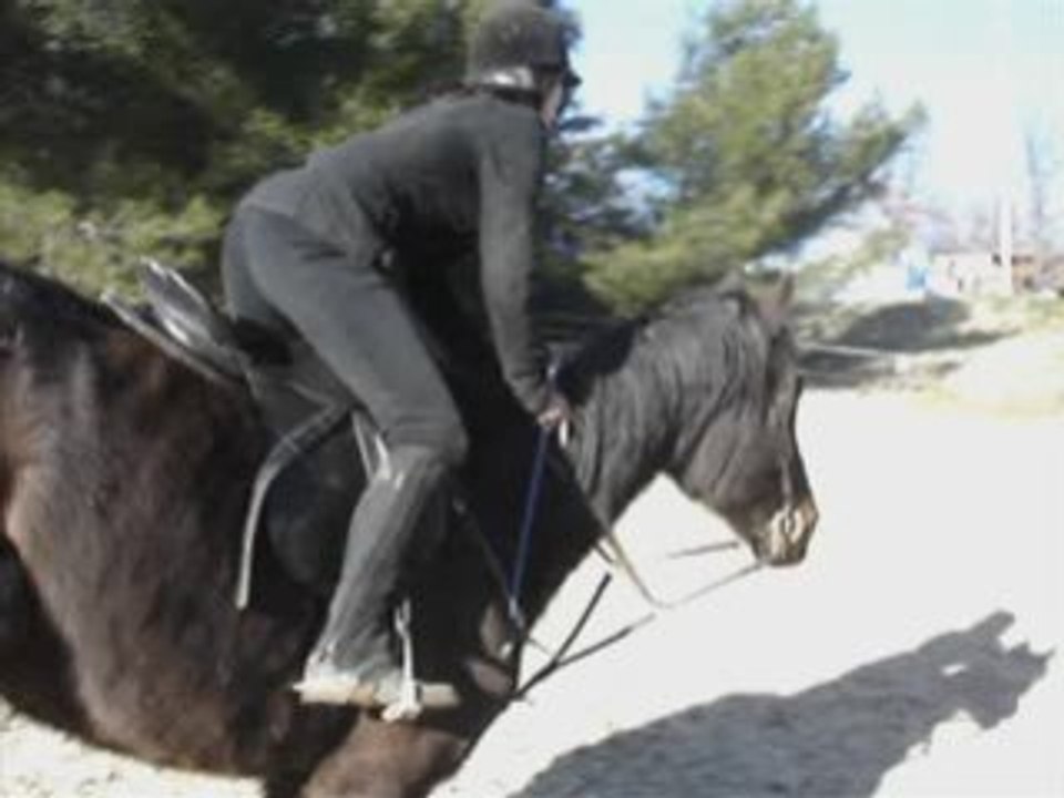 Campbel et moi