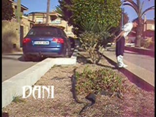 Dani Parkour [Training] Febrero 2009