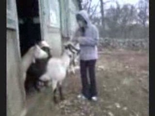 Photos et videos de pleins de trucs .__.