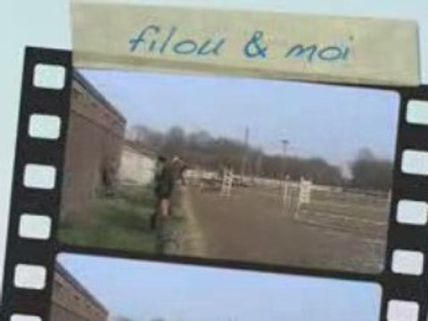 nouveau poney de concours