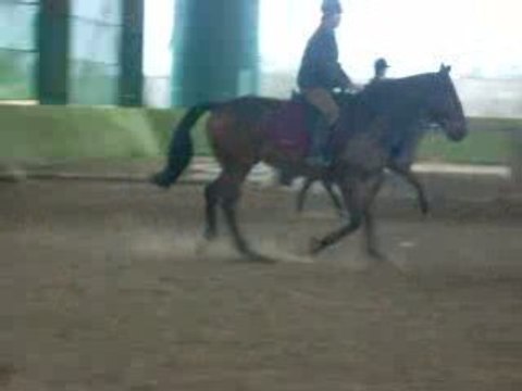 OR 2008 12 20 Trot MD