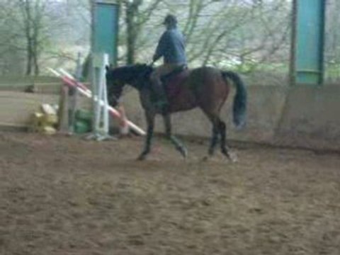 OR 2008 12 20 Trot MG