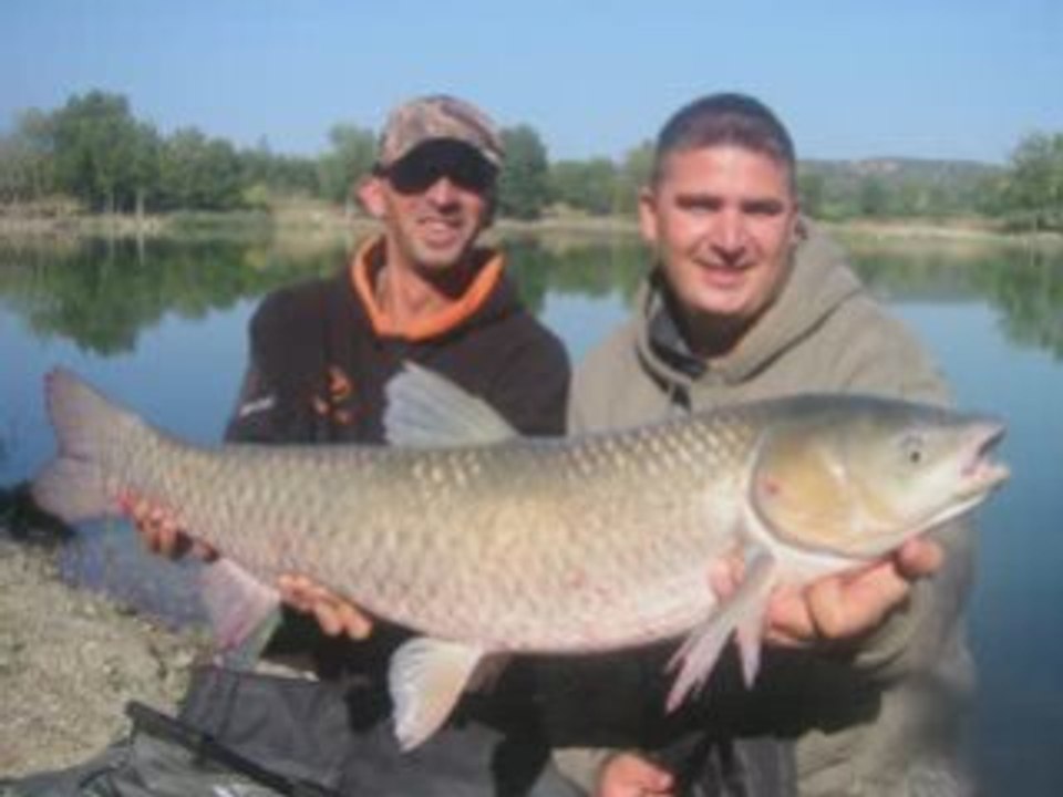 LES AMOURS BLANC TV ADSL