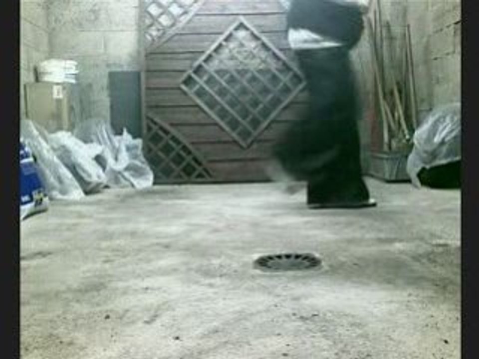 poulox shuffle debutant