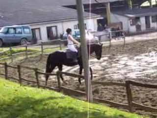 Alex et Orion En Dressage