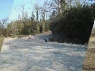 CHASSE BLANCHE A LA BECASSE N°2 DU 15.02.2009