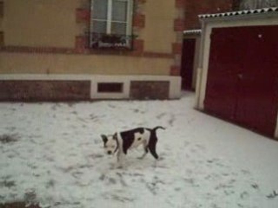 Phelie decouvre la neige !!!!