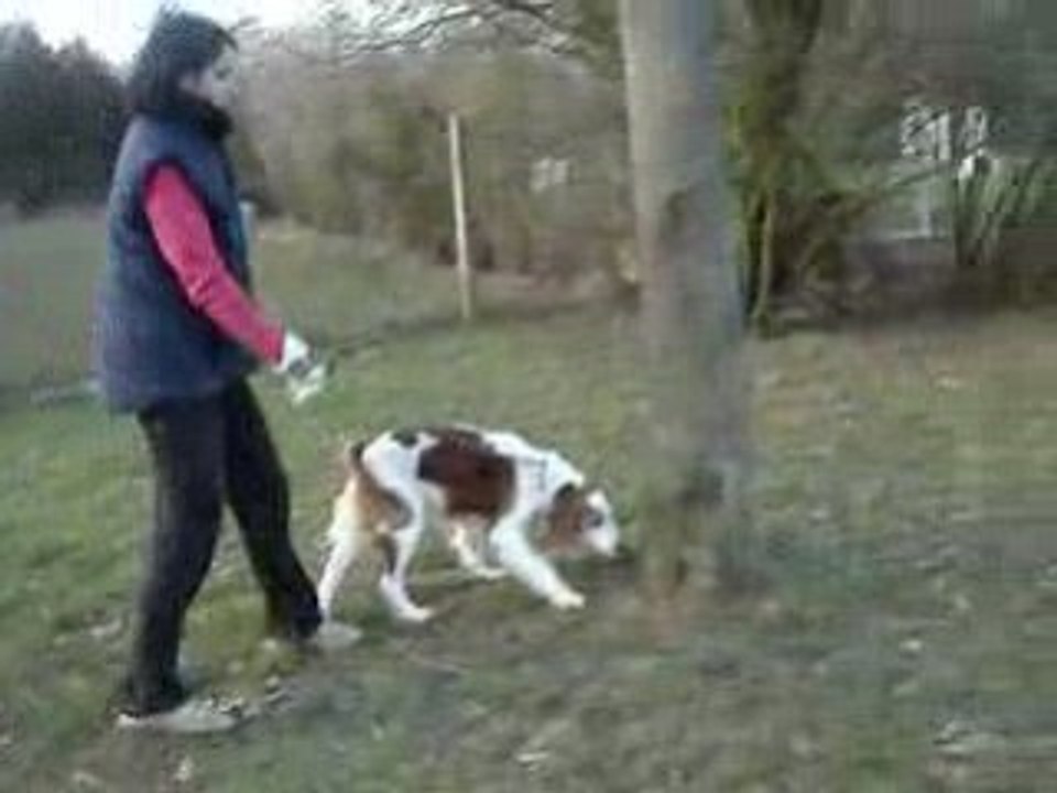 Promenade avec Orianne