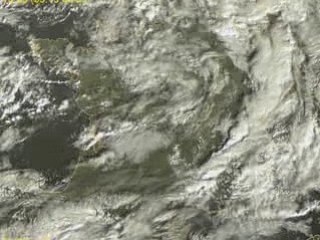 Animation satellite du 5 février 2009