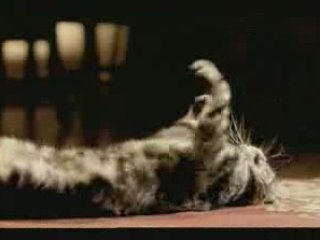 Gag chat foot! Euro2004