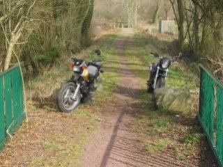 Fichiers transférés