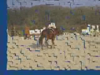 09-02-15 Haras du pin entraînement