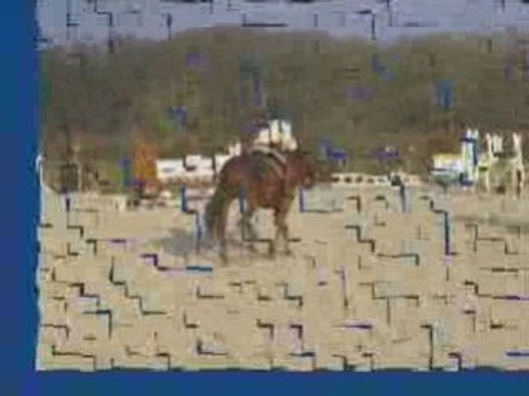 09-02-15 Haras du pin entraînement