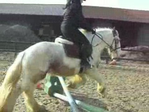 1er petit obstacle avec Flann après 2 dérobades.... :D