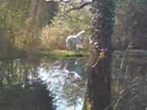 comment soigner une depression