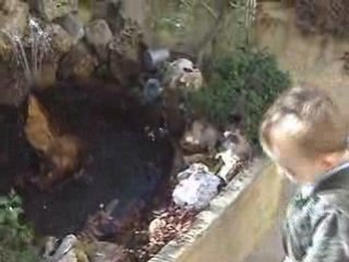 Jules maîtrise bien pour une reprise!