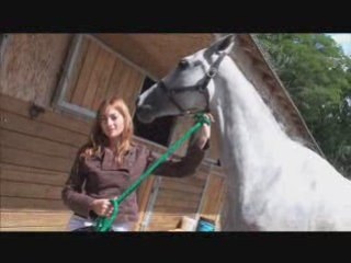 7 Secondes Couleur - Le Lion D'Angers -