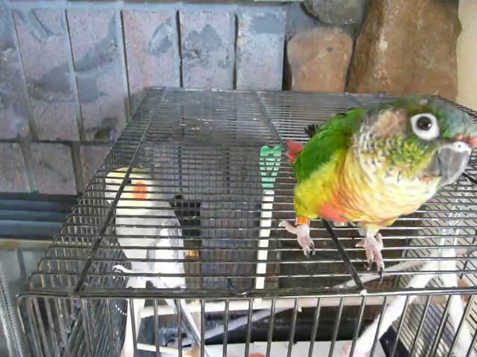 P1010597