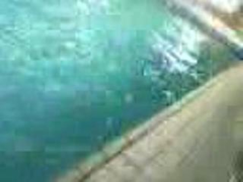 Brice a la piscine !!!