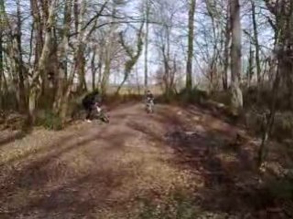 VTT