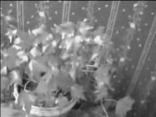 Eight Wrestling: Two