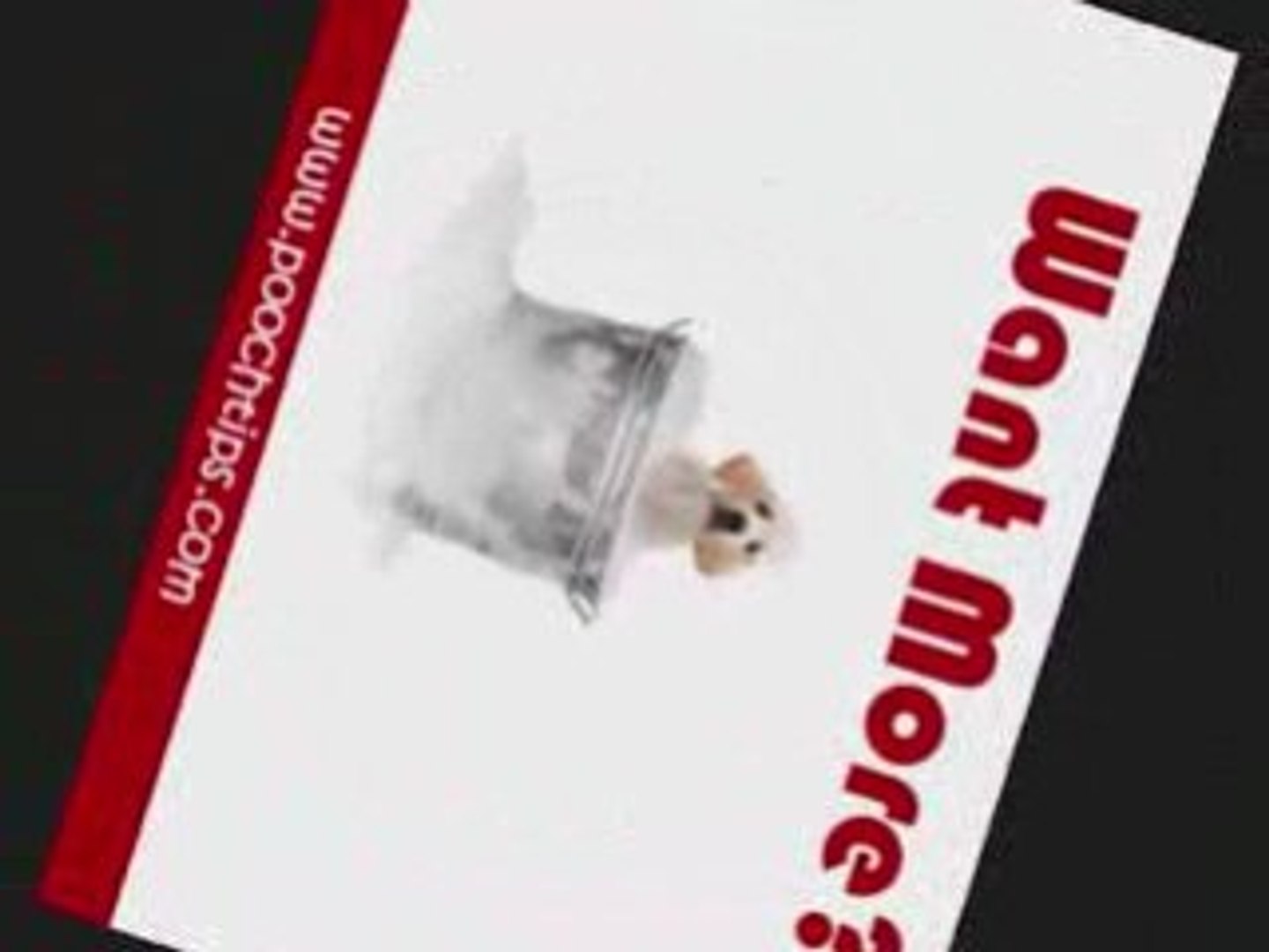 ⁣learn dog training hot topic