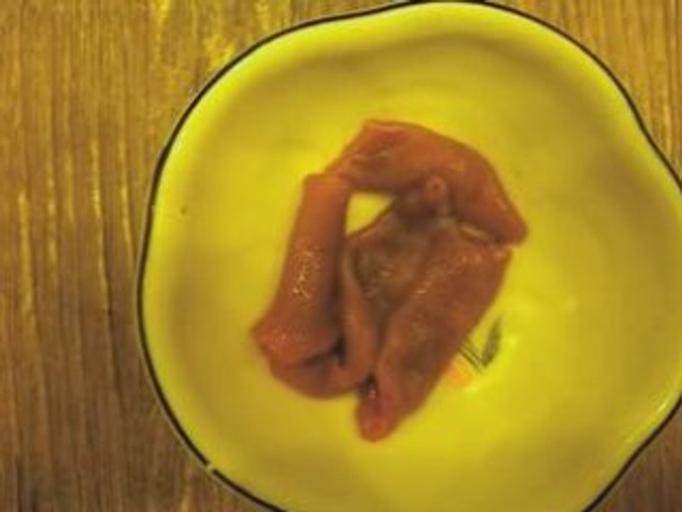 Dog's dick
