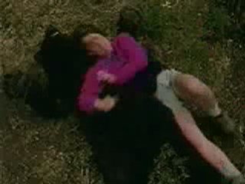Bear Taming