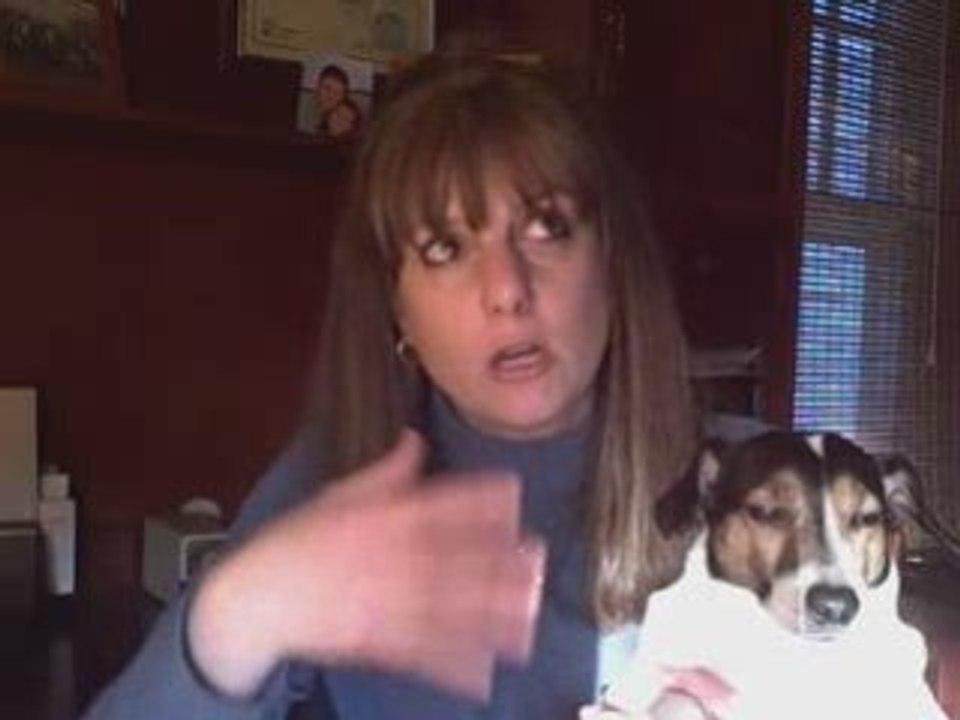 Your [Global Resorts Network] Report On Who To Partner With