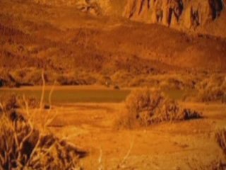 La théorie de l'évolution 1 4