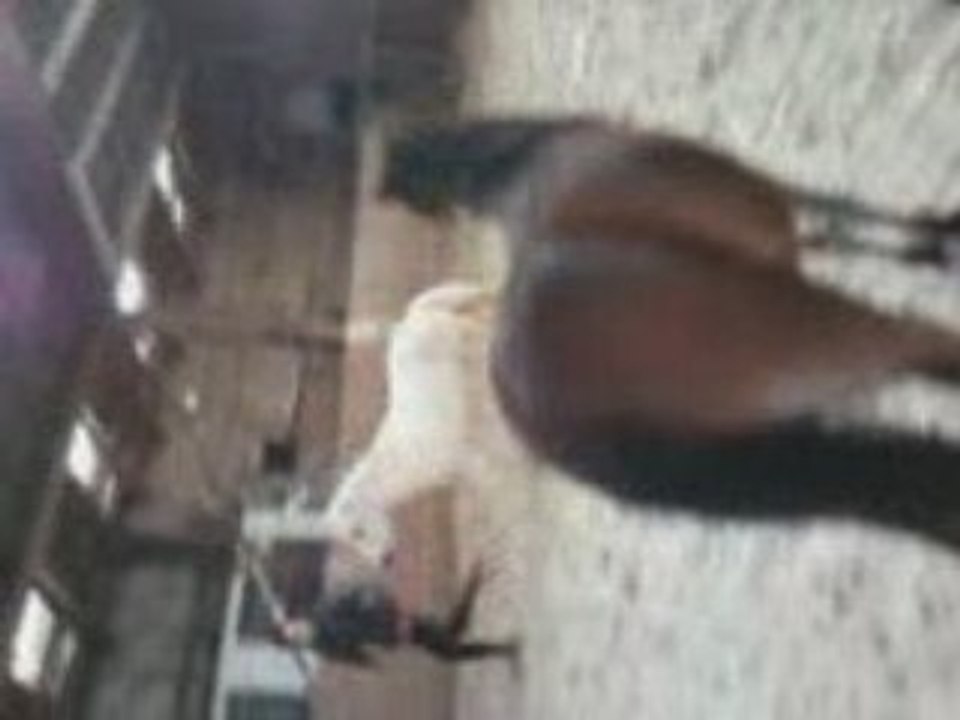 Ce jour la 057