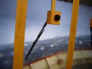 Grand aquarium - Montpellier été 2008