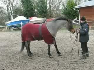 Jasna premiere jambette