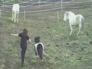 les loulous en follie