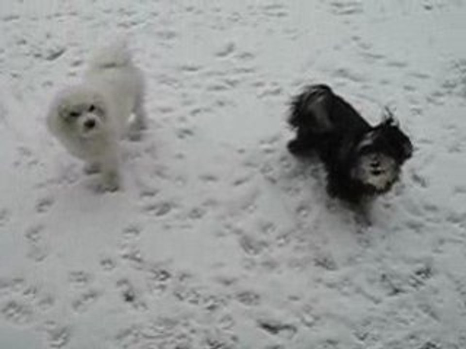 Neige