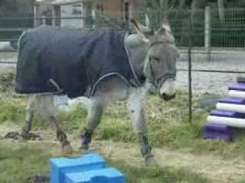 martin liberté 08/02/09 1