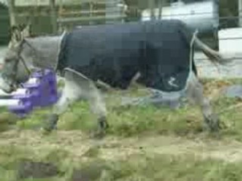 martin liberté 08/02/09 2