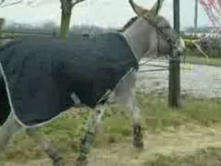 martin liberté 08/02/09 3