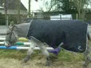 martin liberté 08/02/09 4