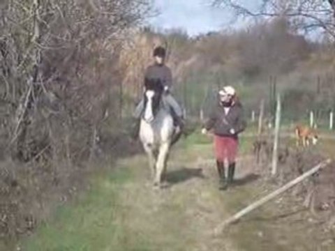 Cours équitation 7 fév : passage difficile