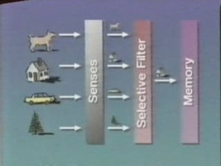 Psicologia cognitiva