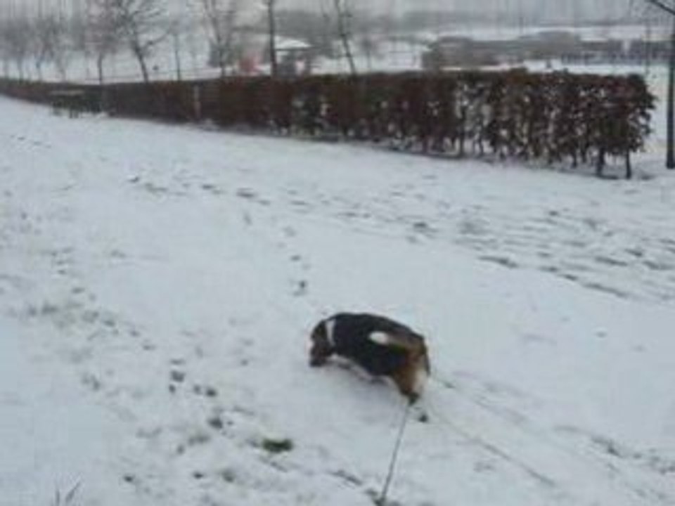 Lilly et la neige