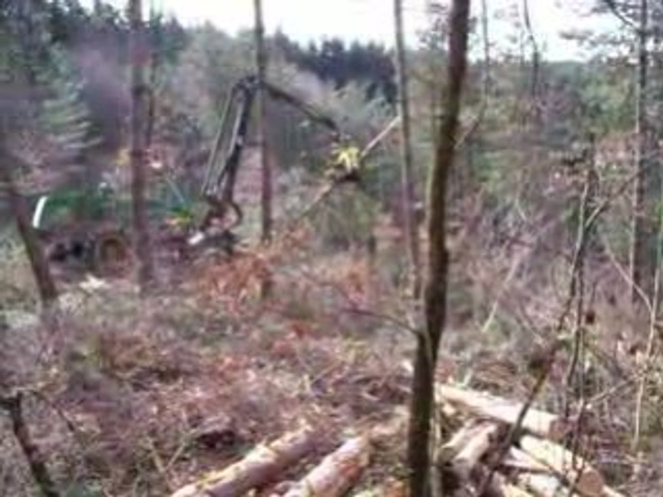 Abatteuse foret