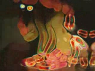 Printemps des 7 Climats 4m51s